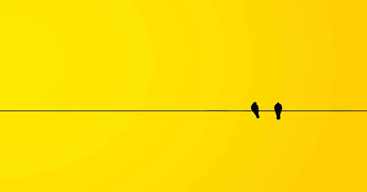 Marketing na era do minimalismo: uma reflexão sobre a tendência